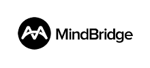 mind bridge